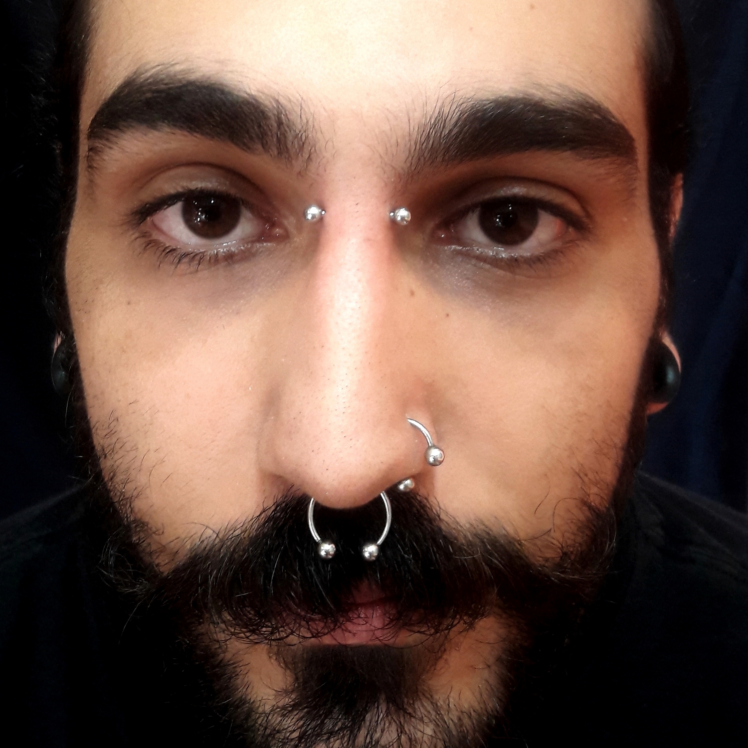  bridge,nostril,septum,piercing 