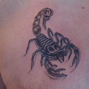 akrep,dövme,scorpion,tattoo