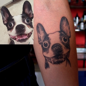 boston,terrier,tattoo