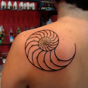fibonaci,spirali,dövmesi