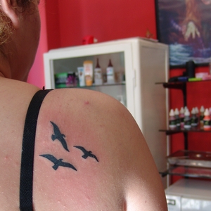 marti,dovmeleri,seagull,tattoos