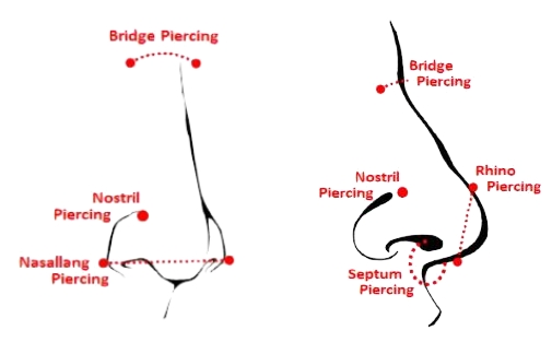 burun,piercing,delim,yerleri,bölgeleri